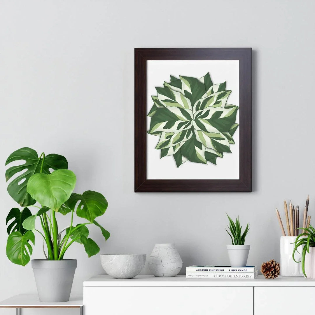 Calathea White Fusion Framed Print, Poster, Laura Christine Photography & Design, Bottle, Calathea, Canvas Bag, Coffee, Drinkware, Framed, Home & Living, Indoor, Paper, Posters, Prayer Plant, Reusable, Shopping Bag, Tea, Tote Bag, Travel, Tumbler, Water, White Fusion, Laura Christine Photography & Design, laurachristinedesign.com