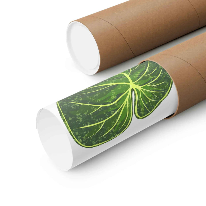 Philodendron Gloriosum Print Botanical Wall Art – Tropical Leaf Poster on Museum-Grade Paper - The Potted Pixel