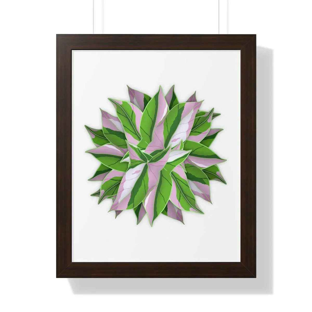 Syngonium Tricolor Print - Framed Botanical Art With Matte Finish & Acrylic Cover - The Potted Pixel