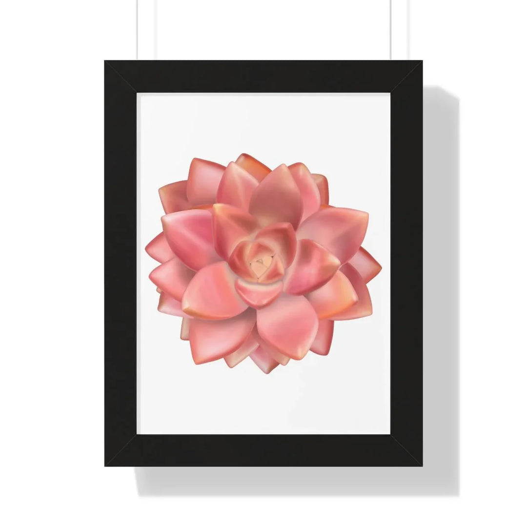 Graptosedum 'California Sunset' Succulent Framed Print, Poster, Laura Christine Photography & Design, Framed, Home & Living, Indoor, Paper, Posters, Laura Christine Photography & Design, laurachristinedesign.com