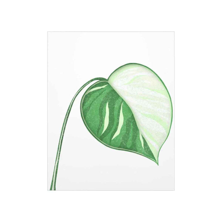 Monstera Albo Print – Large Tropical Leaf Poster | Museum Grade Paper Artwork Unframed