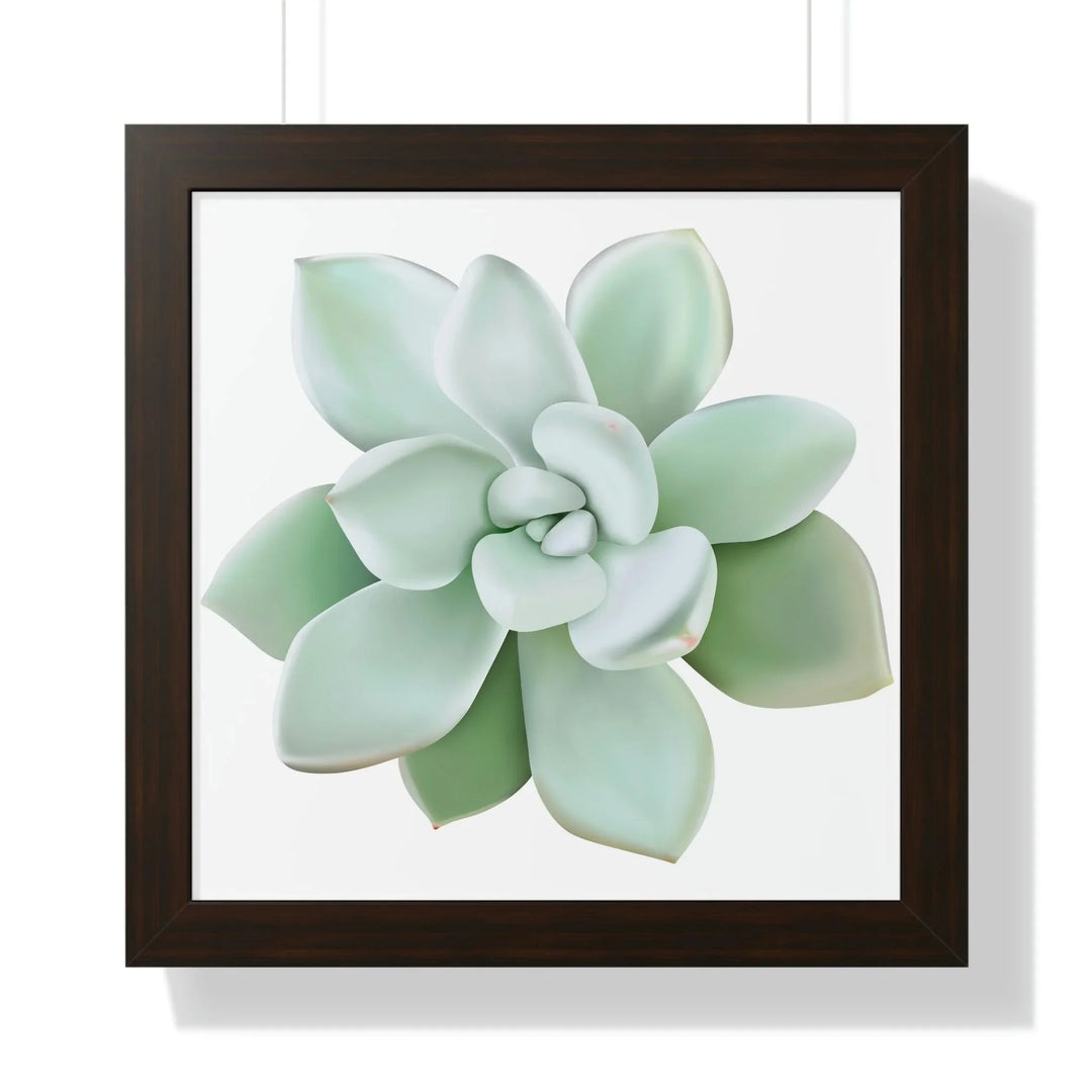Pachyveria Haagei Succulent Framed Print, Poster, Printify, Framed, Home & Living, Indoor, Paper, Posters, Laura Christine Photography & Design, laurachristinedesign.com