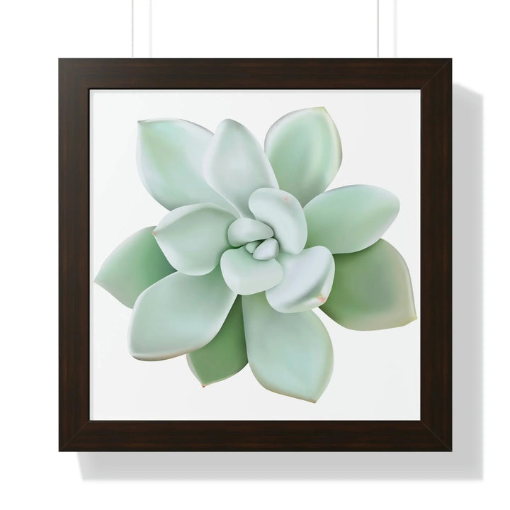 Pachyveria Haagei Succulent Framed Print, Poster, Printify, Framed, Home & Living, Indoor, Paper, Posters, Laura Christine Photography & Design, laurachristinedesign.com