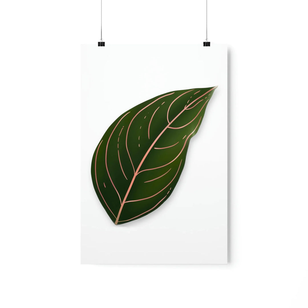 Aglaonema Rotundum Print Botanical Wall Art On Museum Grade Paper Unframed Poster Home Decor