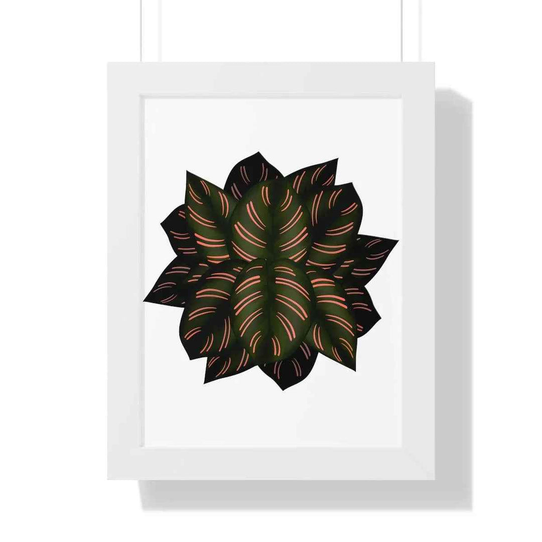 Calathea Pinstripe Print - Framed Botanical Art With Matte Finish & Acrylic Cover - The Potted Pixel