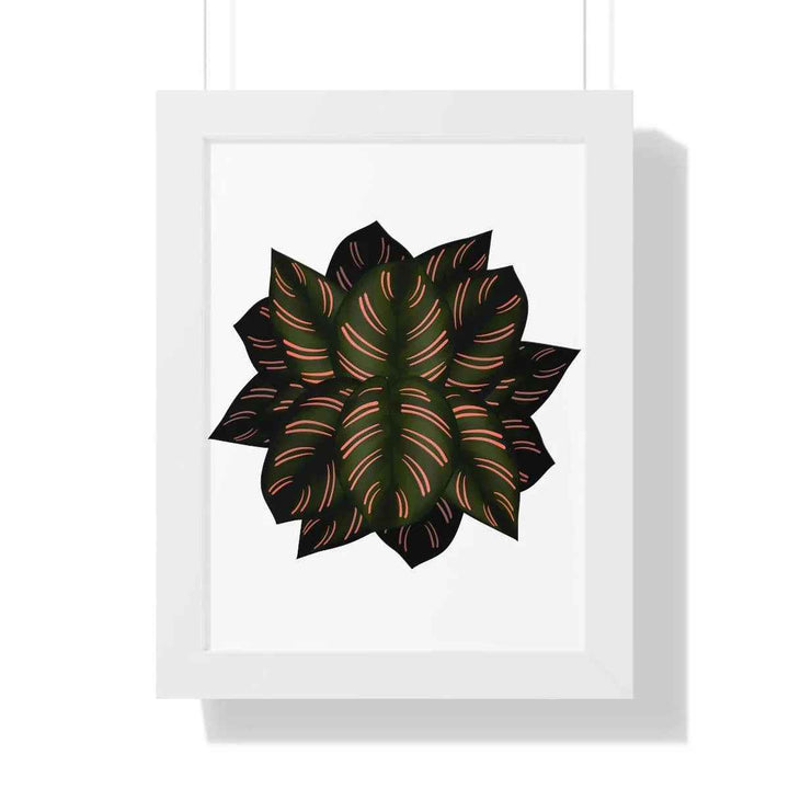 Calathea Pinstripe Print - Framed Botanical Art With Matte Finish & Acrylic Cover - The Potted Pixel