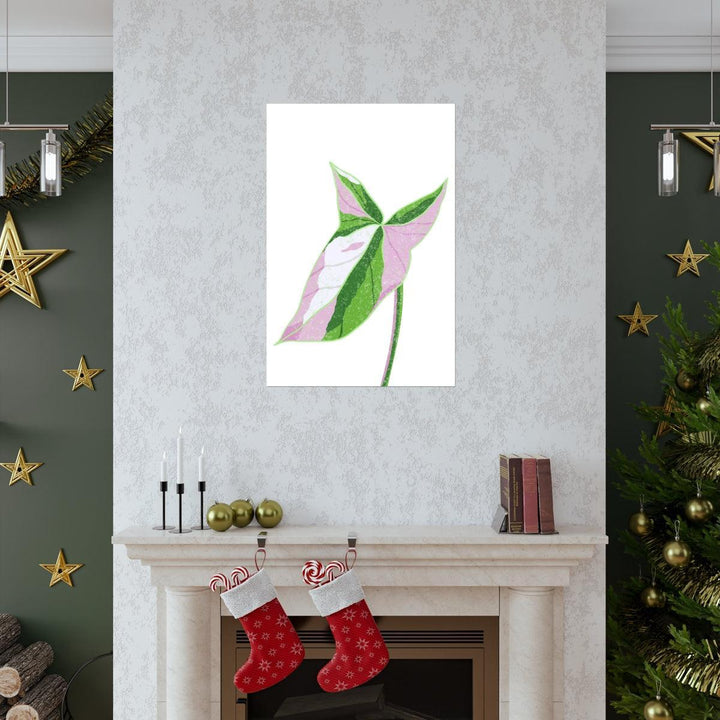 Syngonium Tricolor Print – Botanical Wall Art | Variegated Leaf Poster Unframed - The Potted Pixel