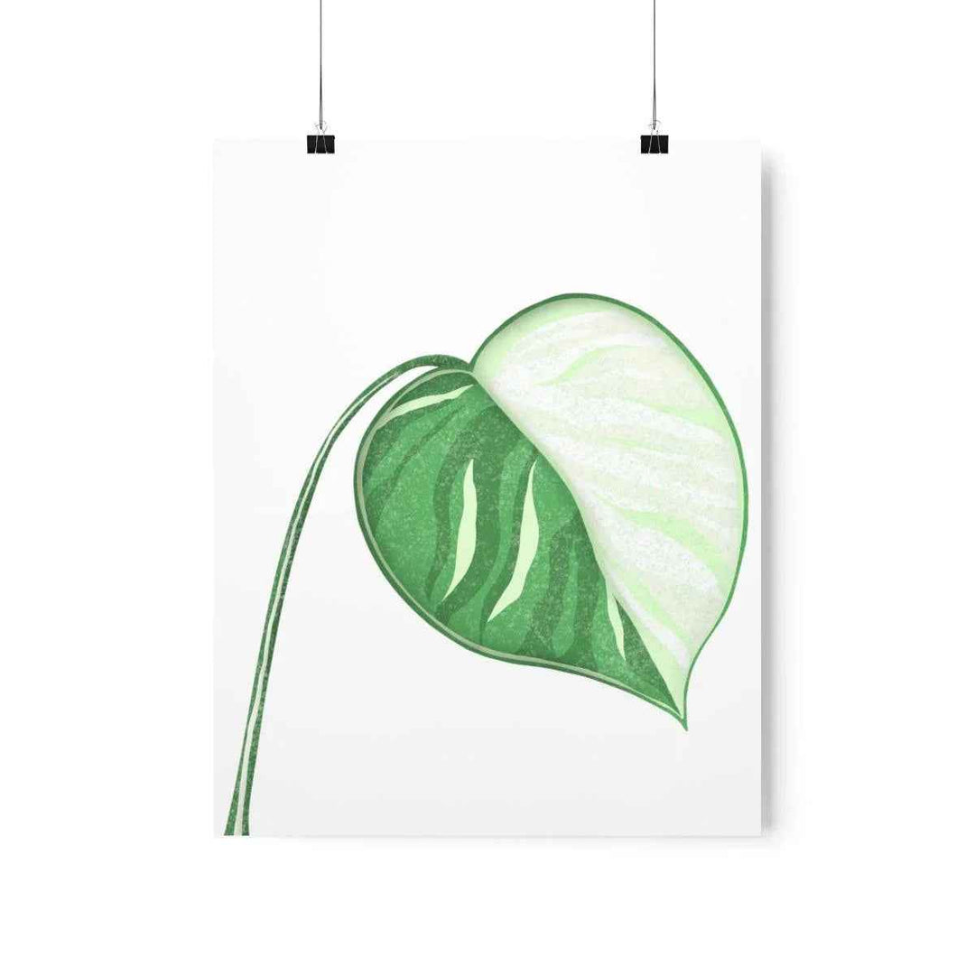 Monstera Albo Print – Large Tropical Leaf Poster | Museum Grade Paper Artwork Unframed