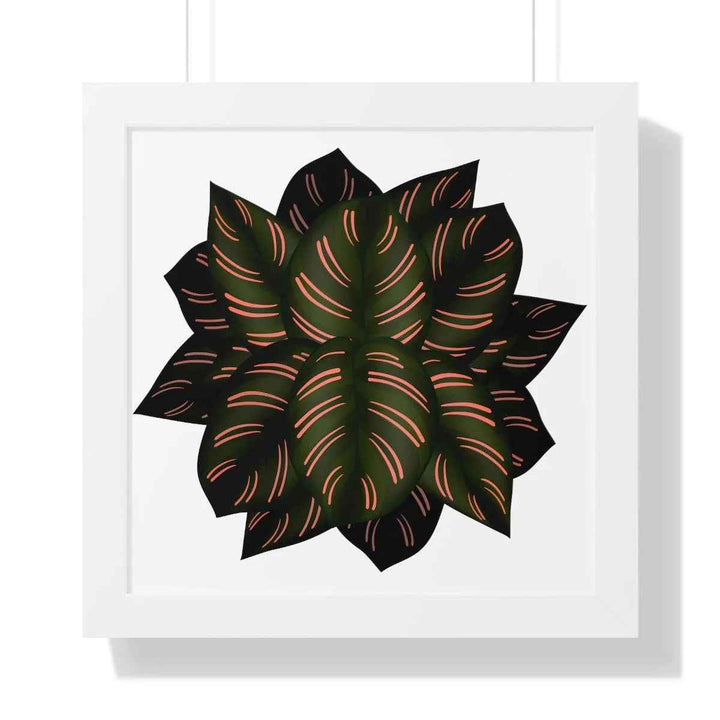 Calathea Pinstripe Print - Framed Botanical Art With Matte Finish & Acrylic Cover - The Potted Pixel