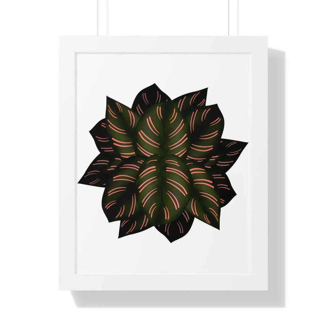 Calathea Pinstripe Print - Framed Botanical Art With Matte Finish & Acrylic Cover - The Potted Pixel
