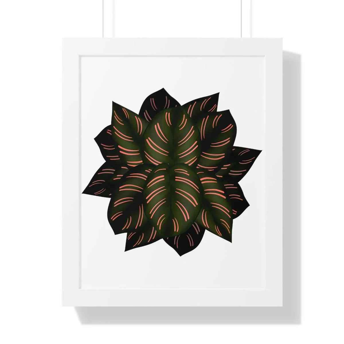Calathea Pinstripe Print - Framed Botanical Art With Matte Finish & Acrylic Cover - The Potted Pixel
