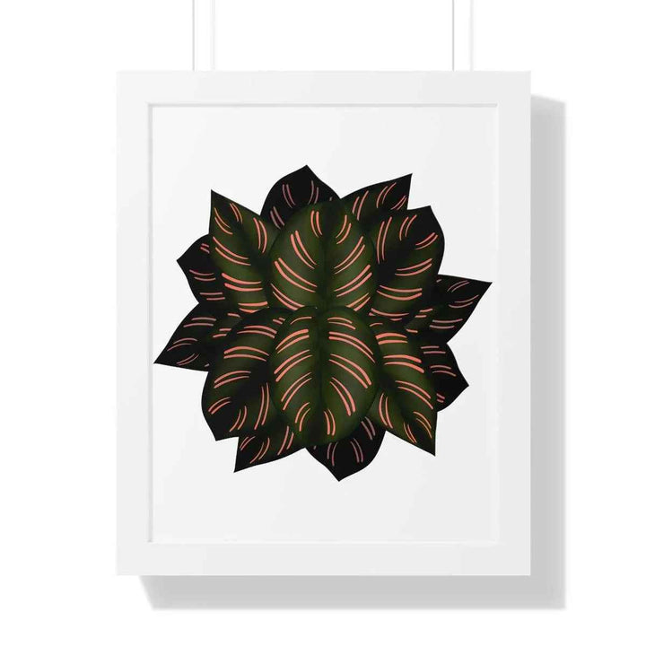 Calathea Pinstripe Print - Framed Botanical Art With Matte Finish & Acrylic Cover - The Potted Pixel