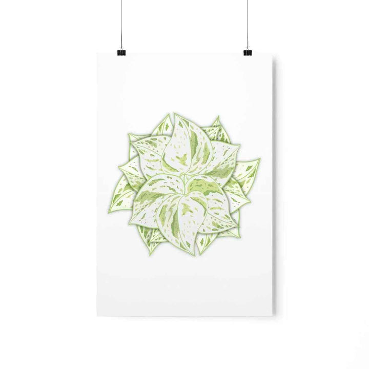 Snow Queen Pothos Print – Variegated Pothos Art on Museum Grade Paper Unframed - The Potted Pixel