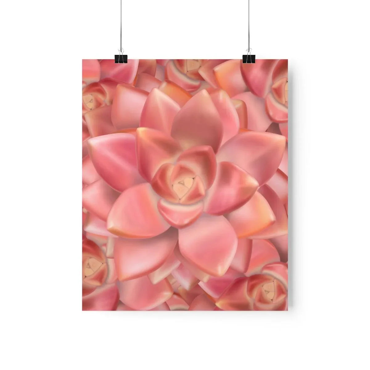 Graptosedum 'California Sunset'  Succulent Print, Poster, Laura Christine Photography & Design, Back to School, Home & Living, Indoor, Matte, Paper, Posters, Valentine's Day promotion, Laura Christine Photography & Design, laurachristinedesign.com