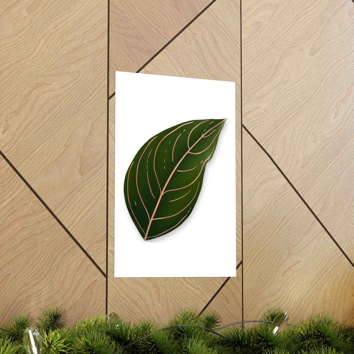 POS Aglaonema Rotundum Print