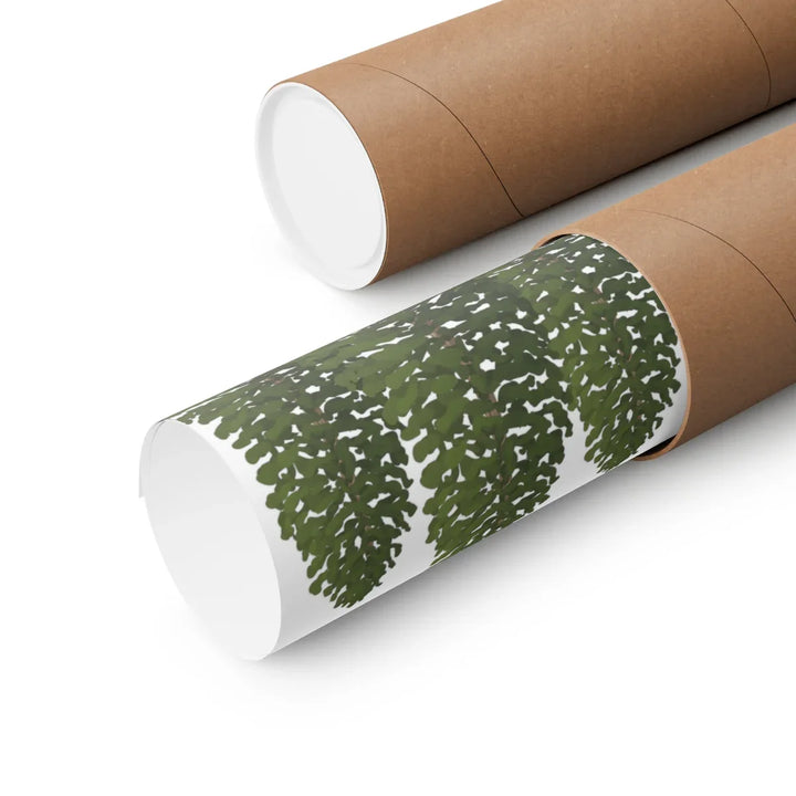 Ponderosa Pine Print Large Pine Tree Poster On Museum Grade Paper Archival Ink Wall Decor Unframed