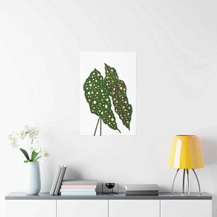 Begonia Maculata Print - Botanical Wall Art on Museum Grade Paper | Matte Finish Unframed - The Potted Pixel