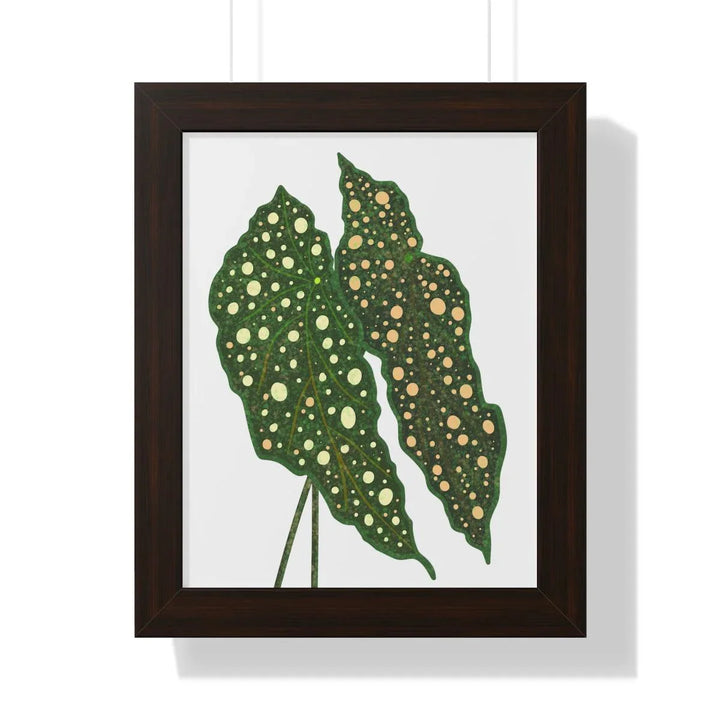 Begonia Maculata Framed Print, Poster, Laura Christine Photography & Design, Framed, Home & Living, Indoor, Paper, Posters, Laura Christine Photography & Design, laurachristinedesign.com