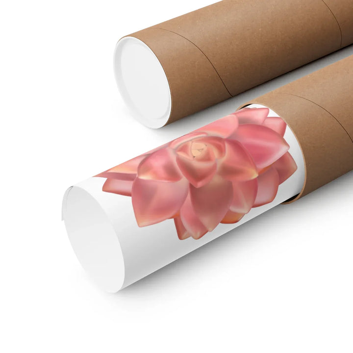 California Sunset Succulent Wall Art Print On Matte Poster Paper For Home Decor Unframed