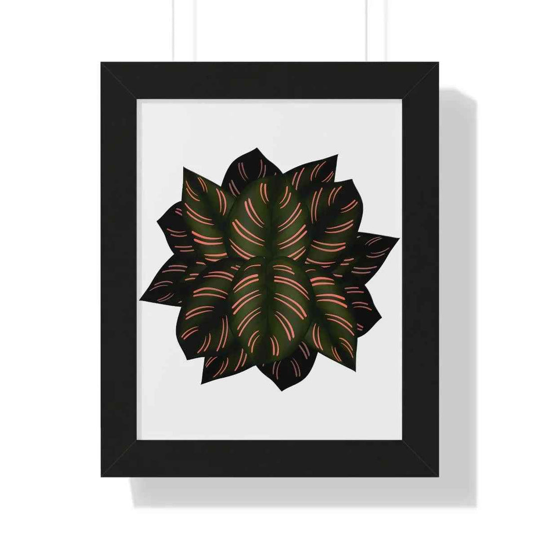 Calathea Pinstripe Print - Framed Botanical Art With Matte Finish & Acrylic Cover - The Potted Pixel