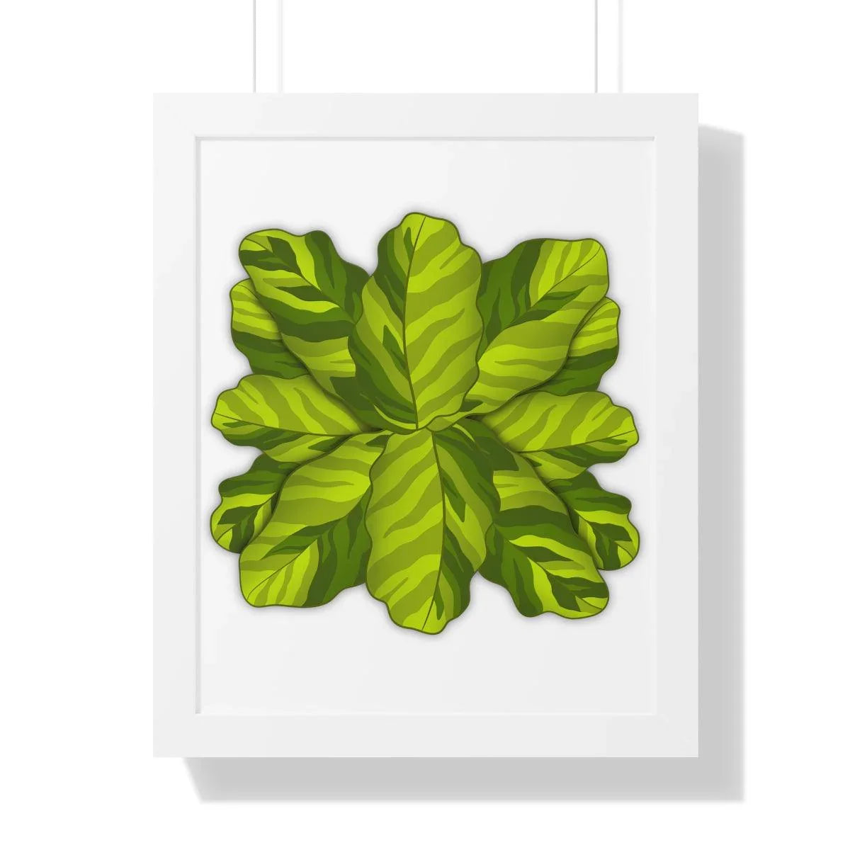 Calathea Yellow Fusion Print Framed Botanical Art – The Potted Pixel