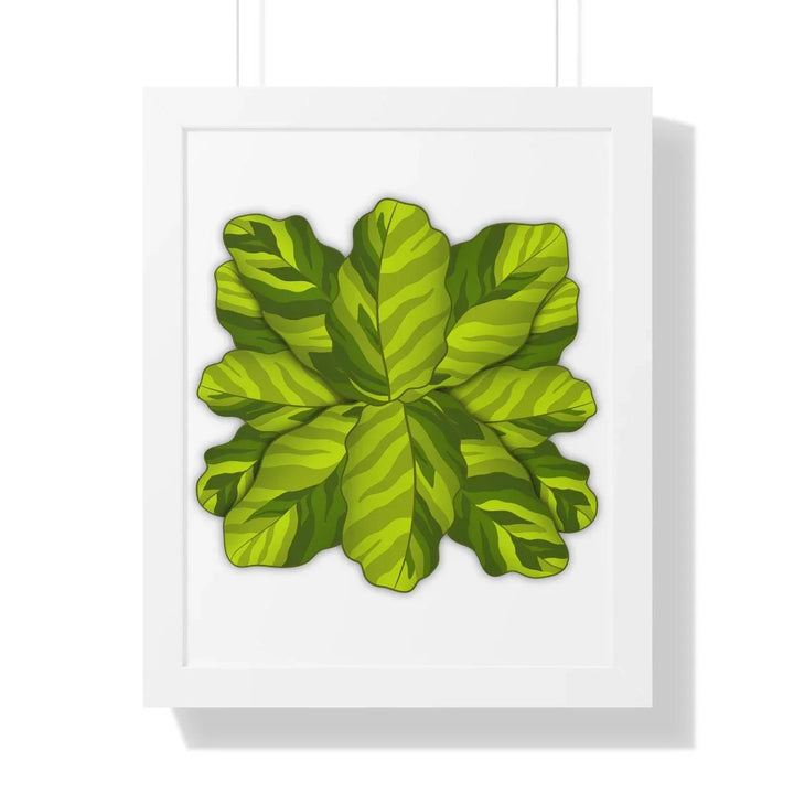 Calathea Yellow Fusion Framed Print, Poster, Laura Christine Photography & Design, Bottle, Calathea, Canvas Bag, Coffee, Drinkware, Framed, Home & Living, Indoor, Paper, Posters, Prayer Plant, Reusable, Shopping Bag, Tea, Tote Bag, Travel, Tumbler, Water, Yellow Fusion, Laura Christine Photography & Design, laurachristinedesign.com