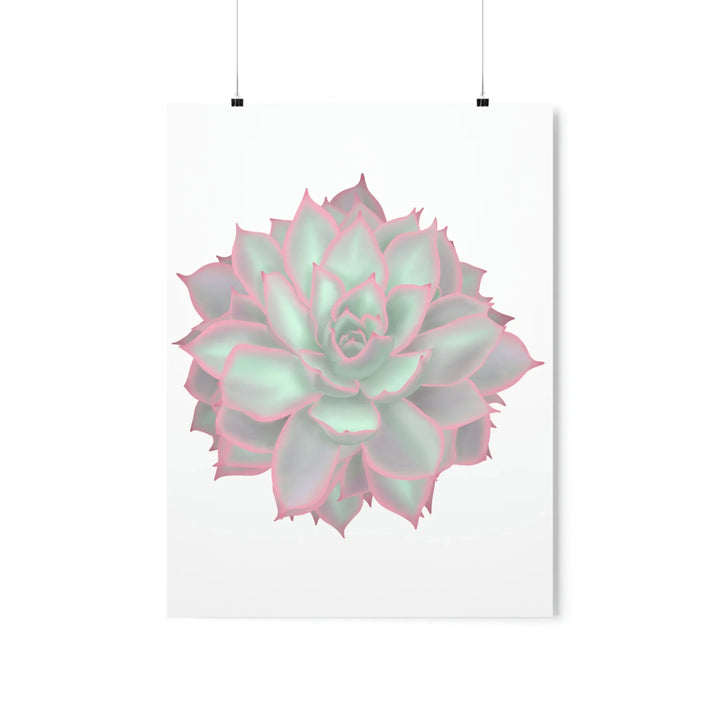 Echeveria Violet Queen Print Succulent Wall Art Botanical Poster On Museum Grade Paper For Indoor Plant Decor