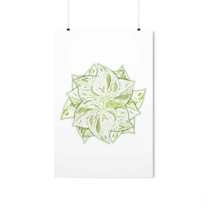 Snow Queen Pothos Print – Variegated Pothos Art on Museum Grade Paper Unframed - The Potted Pixel