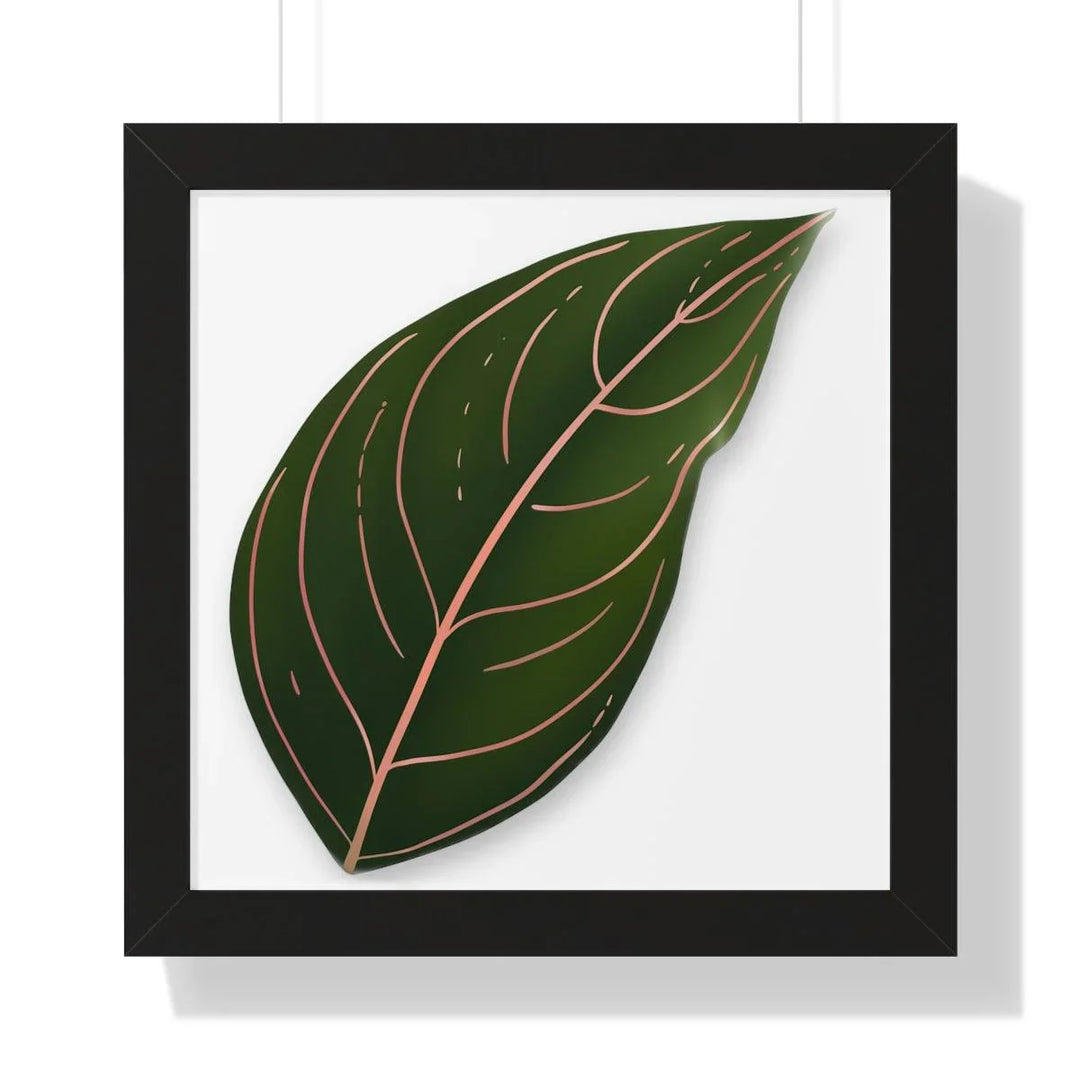 Aglaonema Rotundum Framed Print, Poster, Laura Christine Photography & Design, Framed, Home & Living, Indoor, Paper, Posters, Laura Christine Photography & Design, laurachristinedesign.com