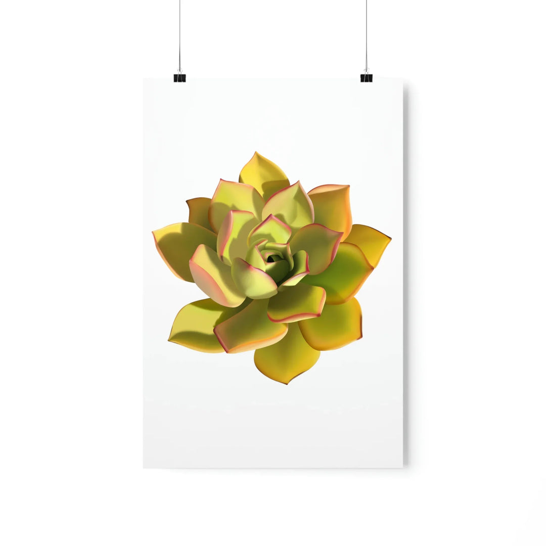 Noble Aeonium Print Vibrant Succulent Wall Art on Museum Grade Paper Poster Unframed