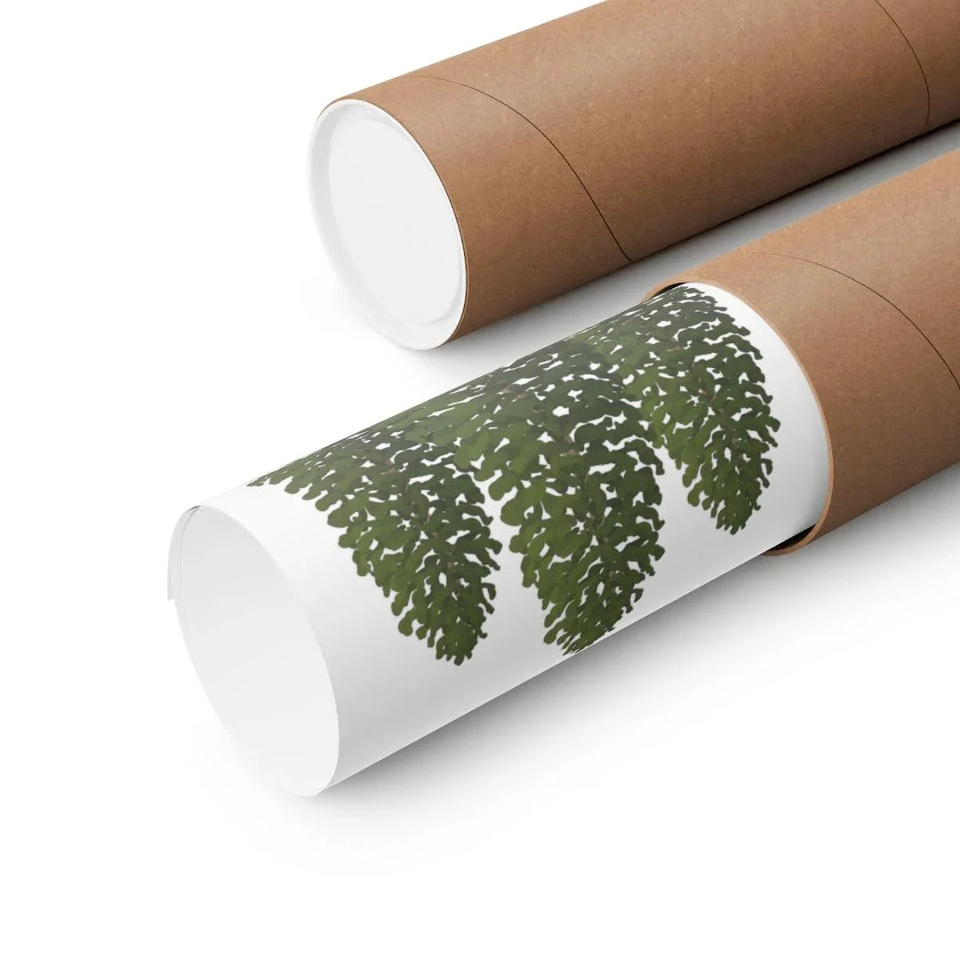 Ponderosa Pine Print, Poster, Laura Christine Photography & Design, Back to School, Home & Living, Indoor, Matte, Paper, Posters, Valentine's Day promotion, Laura Christine Photography & Design, laurachristinedesign.com