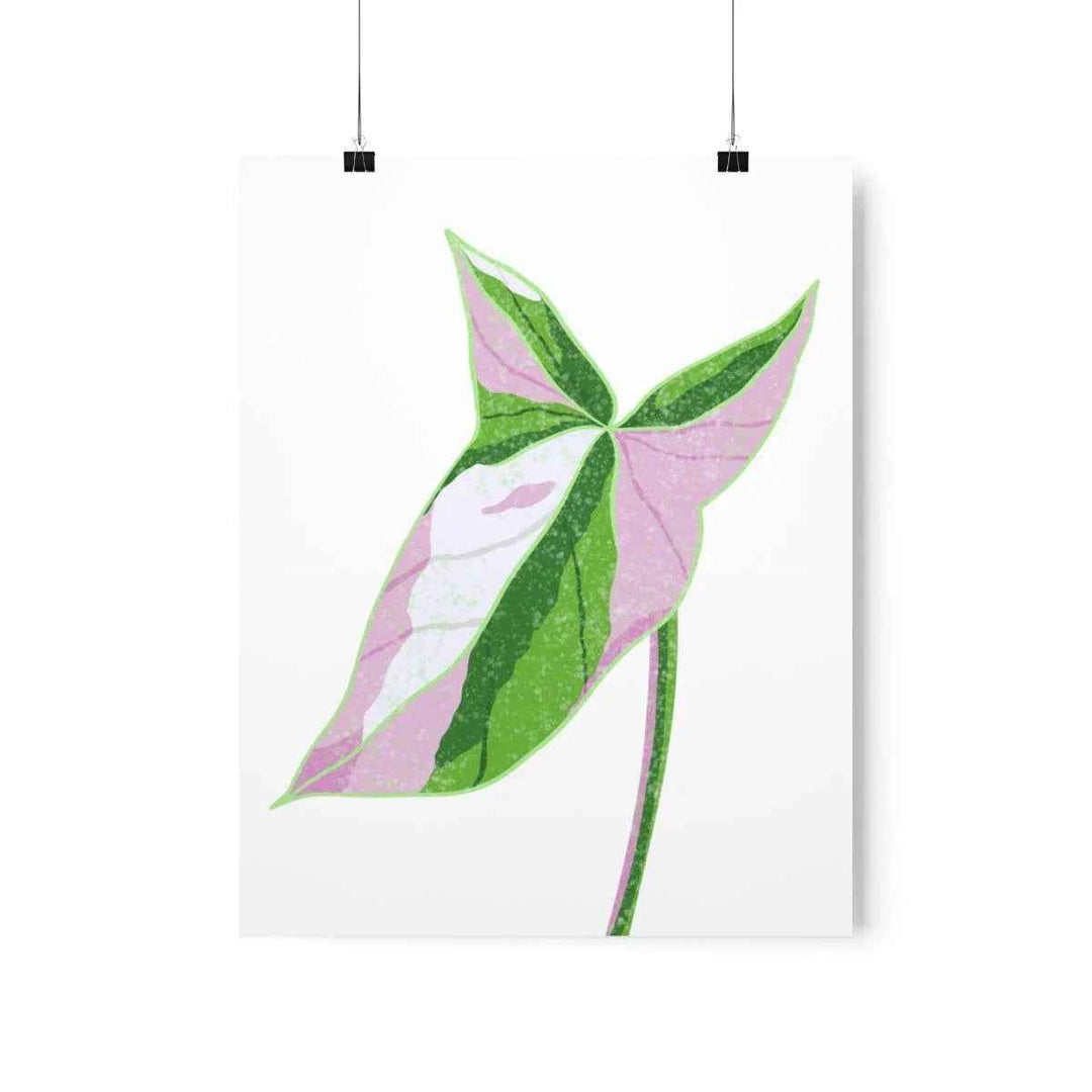 Syngonium Tricolor Print – Botanical Wall Art | Variegated Leaf Poster Unframed - The Potted Pixel