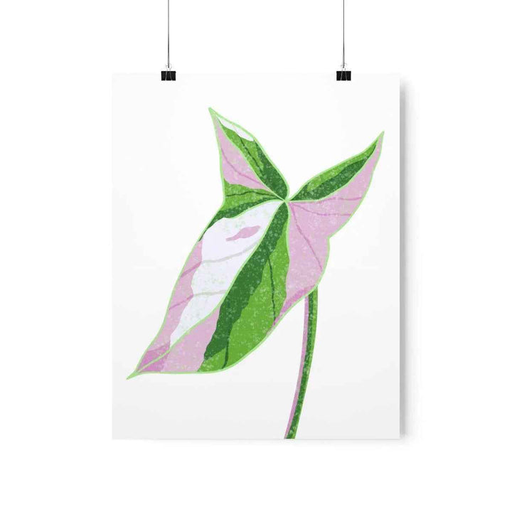 Syngonium Tricolor Print – Botanical Wall Art | Variegated Leaf Poster Unframed - The Potted Pixel