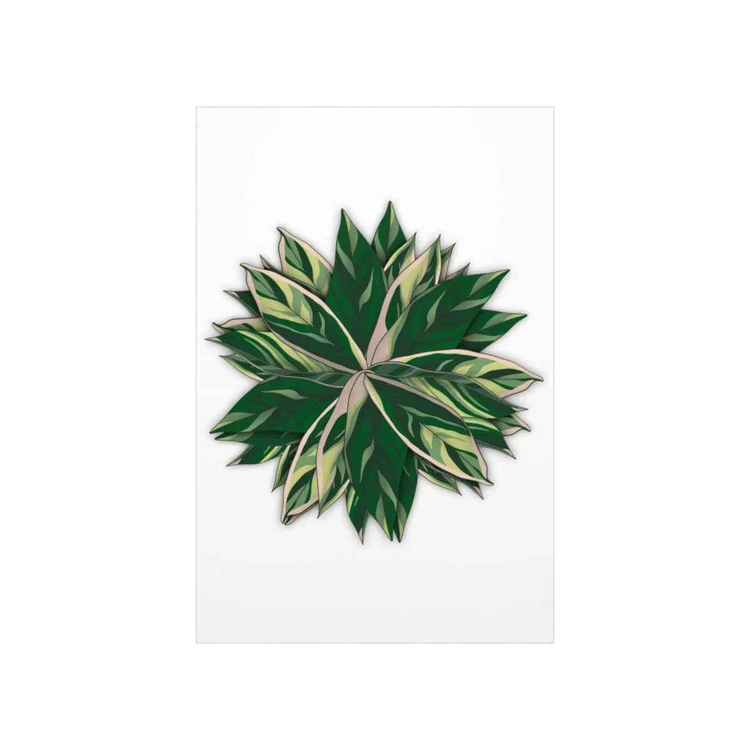 Stromanthe Triostar Print – Tropical Wall Art | Botanical Poster on Museum Grade Paper Unframed - The Potted Pixel