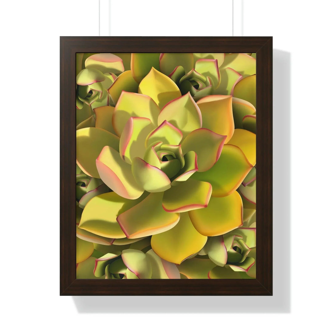 Noble Aeonium Succulent Pattern Framed Print, Poster, Printify, Framed, Home & Living, Indoor, Paper, Posters, Laura Christine Photography & Design, laurachristinedesign.com