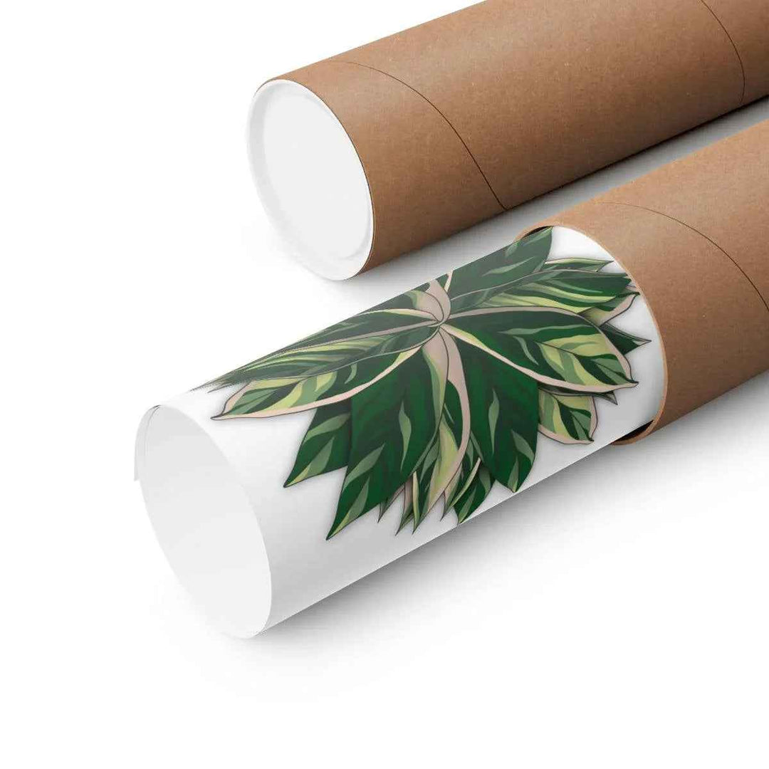 Stromanthe Triostar Print – Tropical Wall Art | Botanical Poster on Museum Grade Paper Unframed - The Potted Pixel