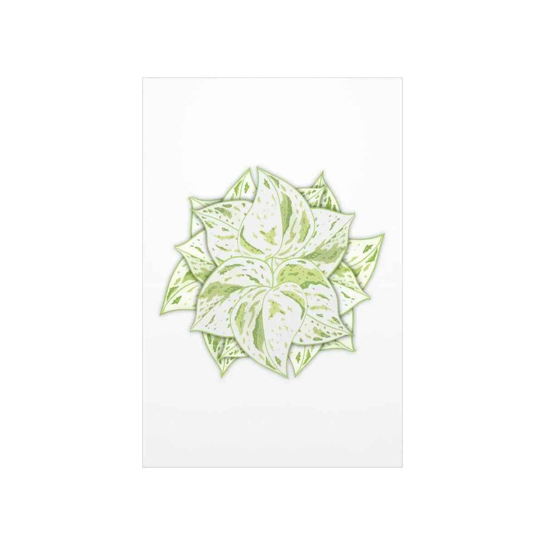 Snow Queen Pothos Print – Variegated Pothos Art on Museum Grade Paper Unframed - The Potted Pixel
