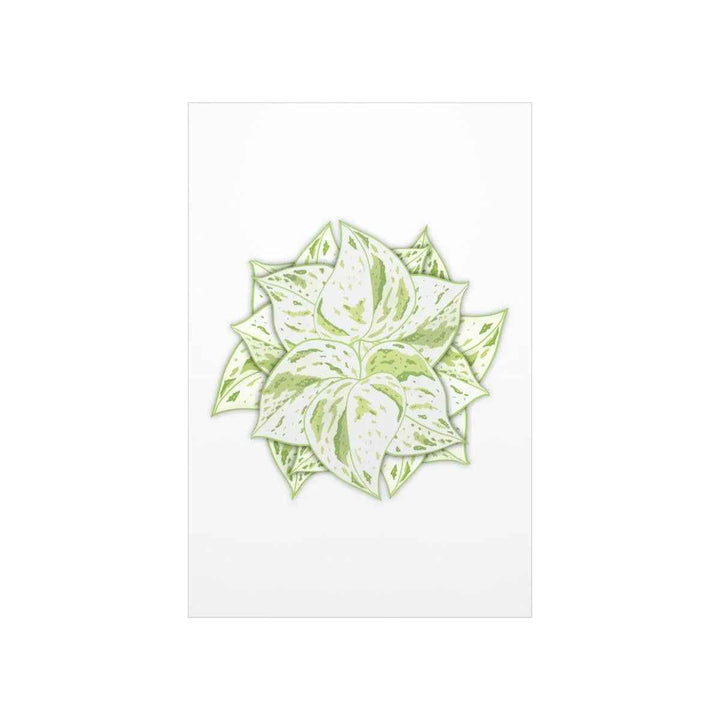 Snow Queen Pothos Print – Variegated Pothos Art on Museum Grade Paper Unframed - The Potted Pixel