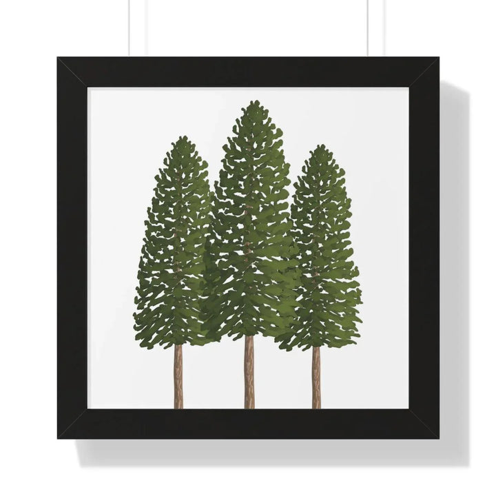 Ponderosa Pine Framed Print, Poster, Laura Christine Photography & Design, Framed, Home & Living, Indoor, Paper, Posters, Laura Christine Photography & Design, laurachristinedesign.com