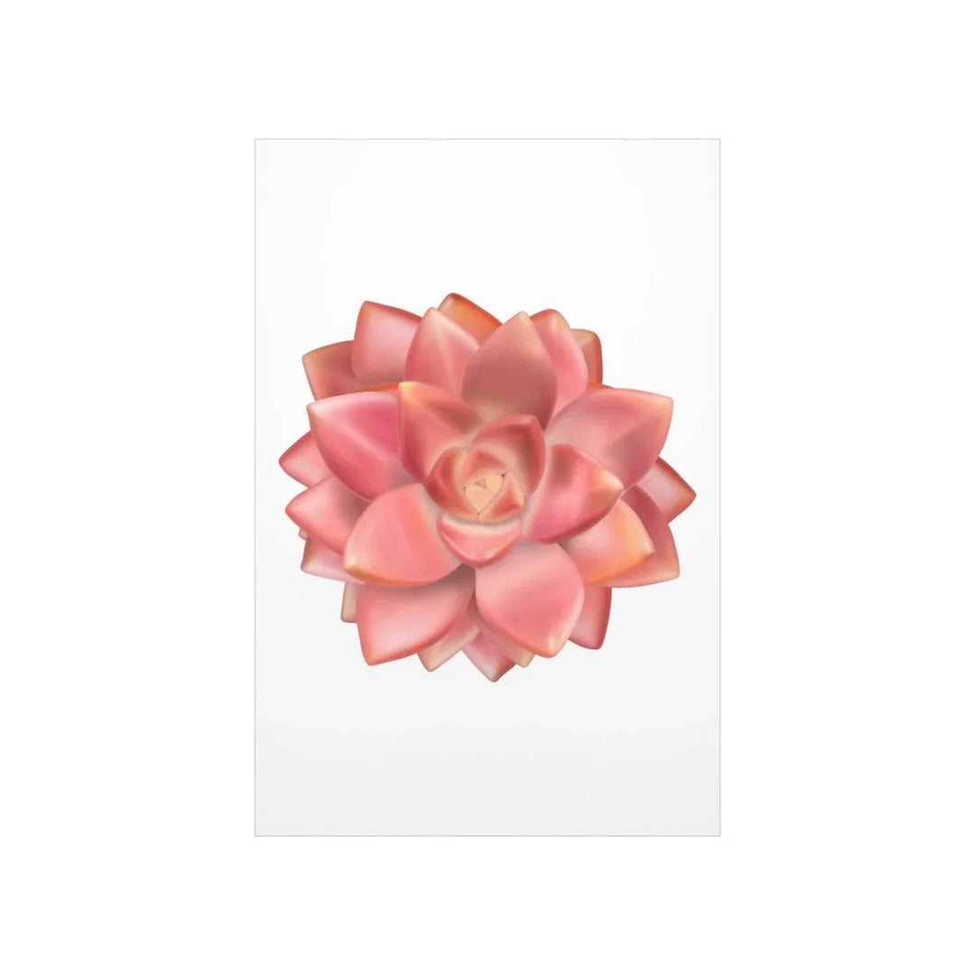 Graptosedum 'California Sunset'  Succulent Print, Poster, Laura Christine Photography & Design, Back to School, Home & Living, Indoor, Matte, Paper, Posters, Valentine's Day promotion, Laura Christine Photography & Design, laurachristinedesign.com