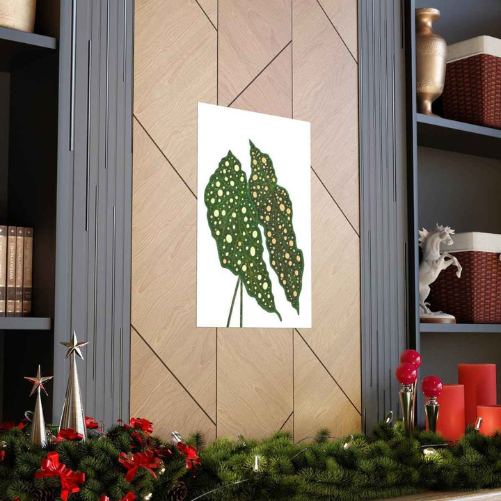 Begonia Maculata Print - Botanical Wall Art on Museum Grade Paper | Matte Finish Unframed - The Potted Pixel