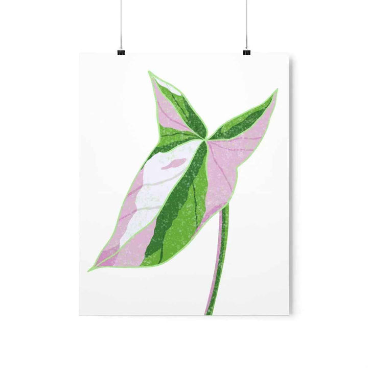 Syngonium Tricolor Print – Botanical Wall Art | Variegated Leaf Poster Unframed - The Potted Pixel