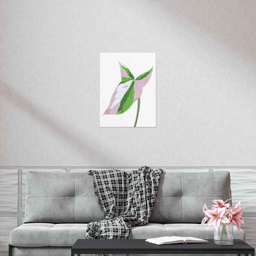 Syngonium Tricolor Print – Botanical Wall Art | Variegated Leaf Poster Unframed - The Potted Pixel