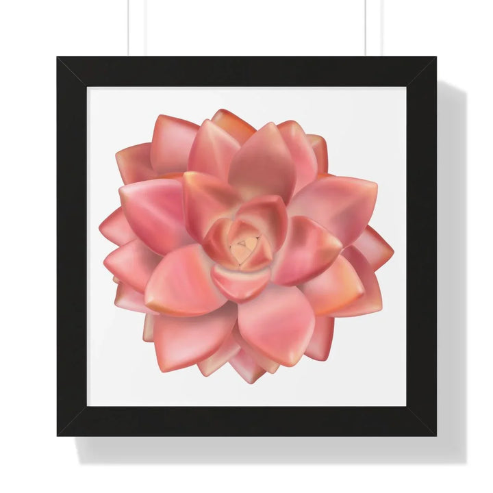 Graptosedum 'California Sunset' Succulent Framed Print, Poster, Laura Christine Photography & Design, Framed, Home & Living, Indoor, Paper, Posters, Laura Christine Photography & Design, laurachristinedesign.com