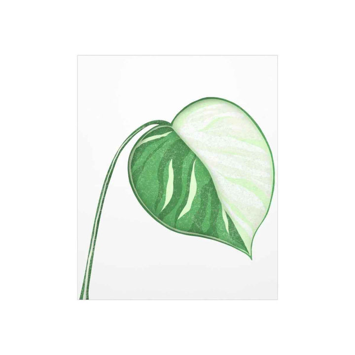 Monstera Albo Print – Large Tropical Leaf Poster | Museum Grade Paper Artwork Unframed