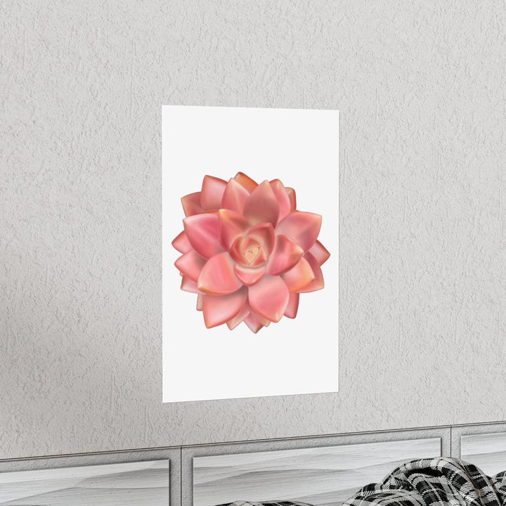 Graptosedum 'California Sunset'  Succulent Print, Poster, Laura Christine Photography & Design, Back to School, Home & Living, Indoor, Matte, Paper, Posters, Valentine's Day promotion, Laura Christine Photography & Design, laurachristinedesign.com