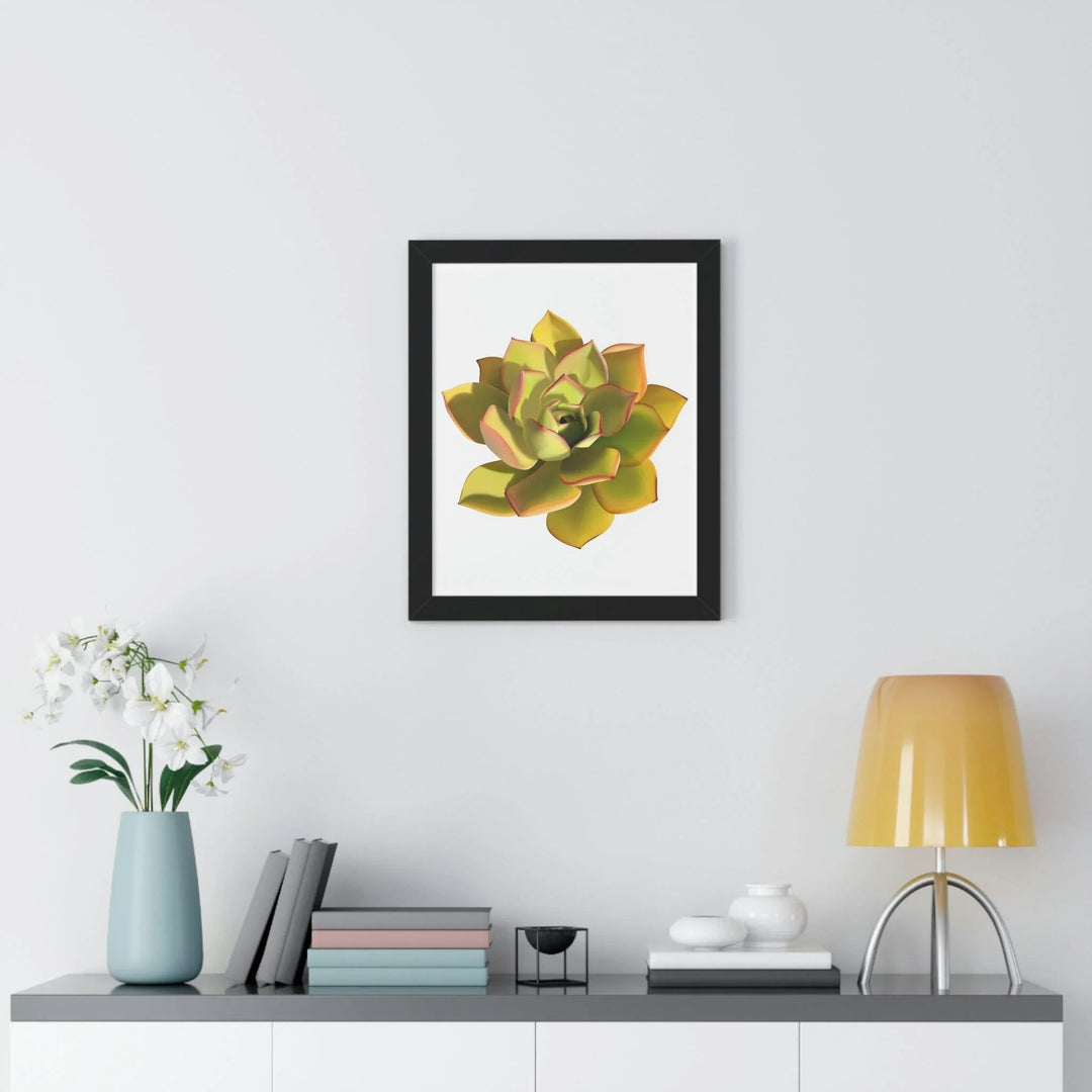Noble Aeonium Succulent Framed Print, Poster, Printify, Framed, Home & Living, Indoor, Paper, Posters, Laura Christine Photography & Design, laurachristinedesign.com