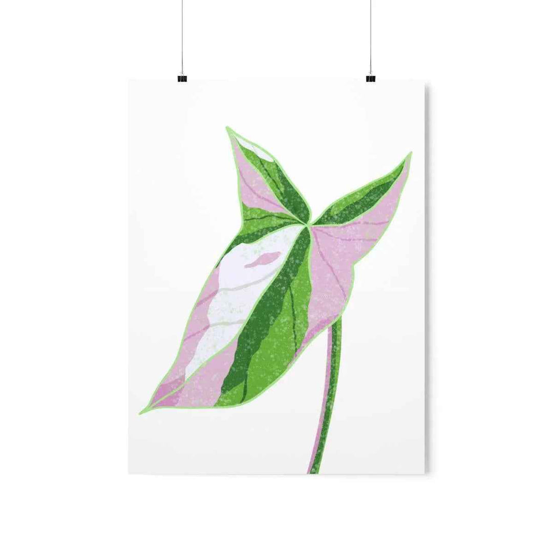 Syngonium Tricolor Print – Botanical Wall Art | Variegated Leaf Poster Unframed - The Potted Pixel