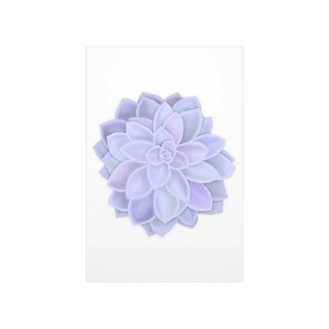 Graptopetalum 'Murasaki' Succulent Print, Poster, Laura Christine Photography & Design, Back to School, Home & Living, Indoor, Matte, Paper, Posters, Valentine's Day promotion, Laura Christine Photography & Design, laurachristinedesign.com