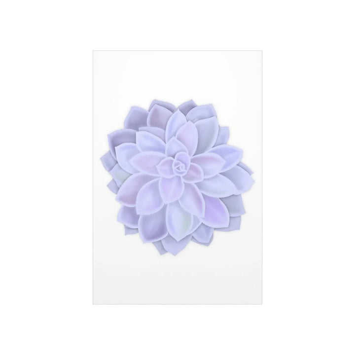 Graptopetalum 'Murasaki' Succulent Print, Poster, Laura Christine Photography & Design, Back to School, Home & Living, Indoor, Matte, Paper, Posters, Valentine's Day promotion, Laura Christine Photography & Design, laurachristinedesign.com